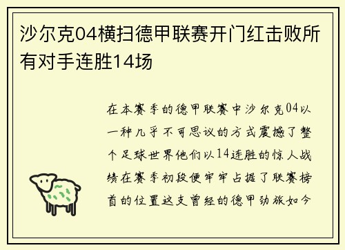 沙尔克04横扫德甲联赛开门红击败所有对手连胜14场